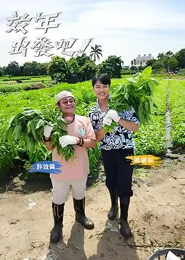 综艺片种图鉴缩略图，舞台灯与座椅